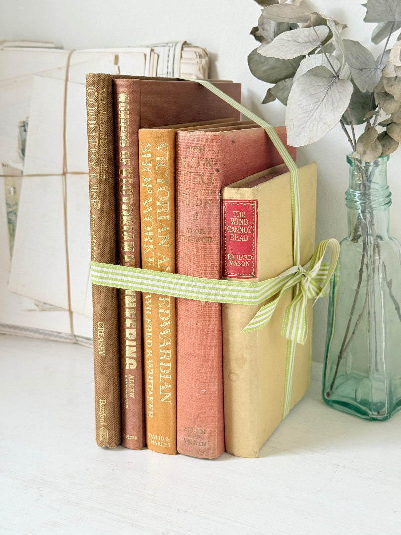 A set of five vintage hardcover books tied together with a light green striped ribbon, styled next to a glass bottle vase with dried leaves on a white surface.