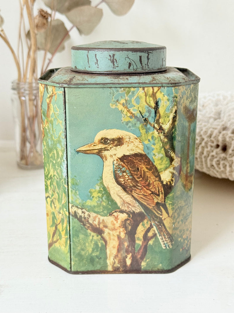 Vintage Bushells metal tea box featuring kangaroo, koala, and emu illustrations photographed on a white surface.