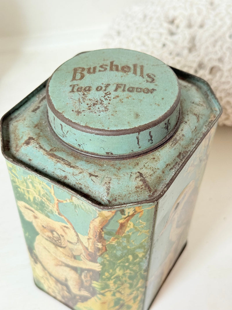 Vintage Bushells metal tea box featuring kangaroo, koala, and emu illustrations photographed on a white surface.