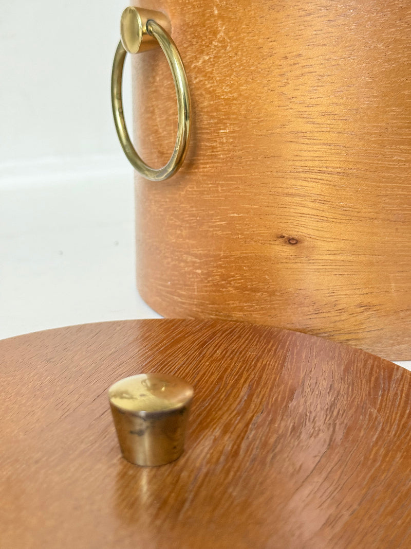 Mid century bent plywood icebox with brass handle and matching wooden tongs, styled on a white surface with dried foliage.