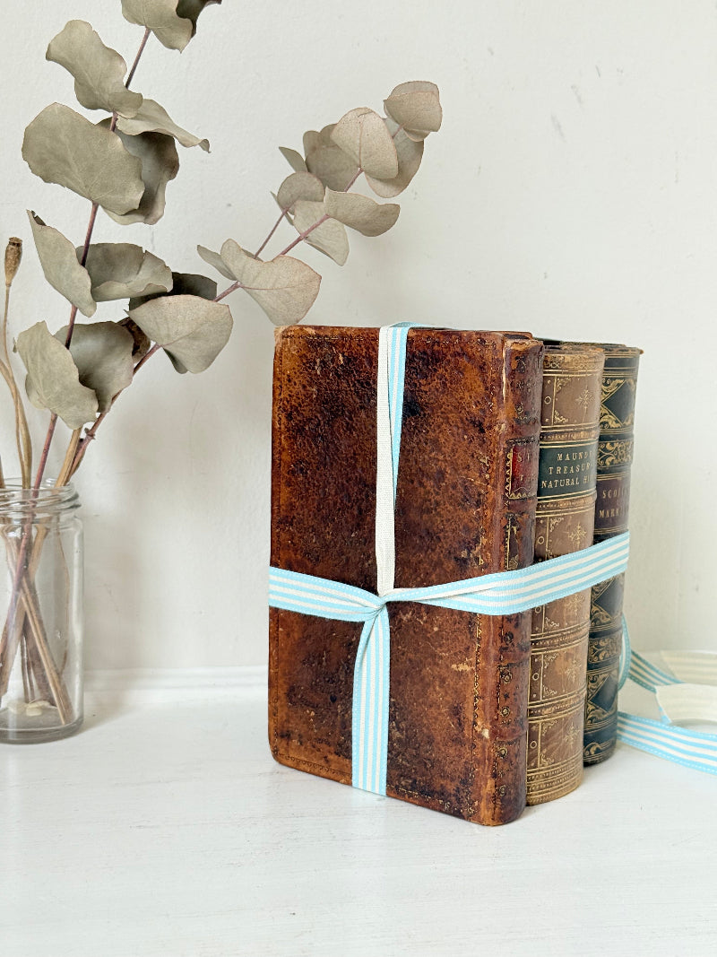 Antique leather bound decorative book bundle tied with pale blue ribbon, photographed on a white surface