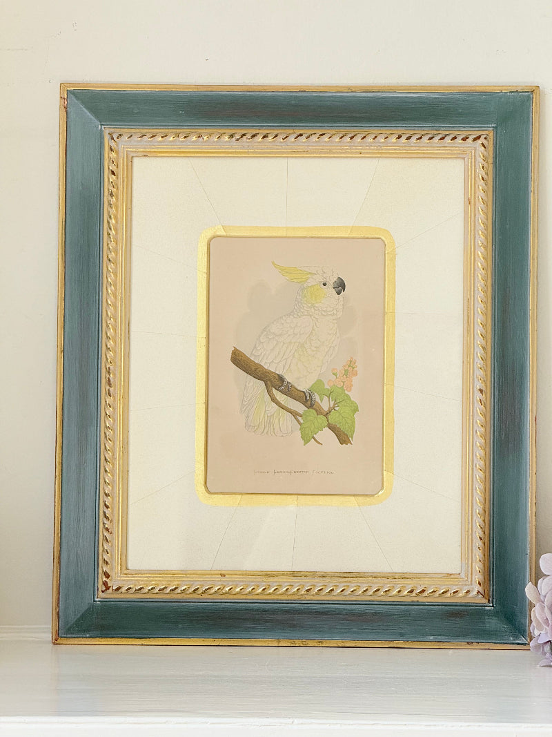 Framed cockatoo bird print in green and gold frame with mount, styled on white surface with vintage books
