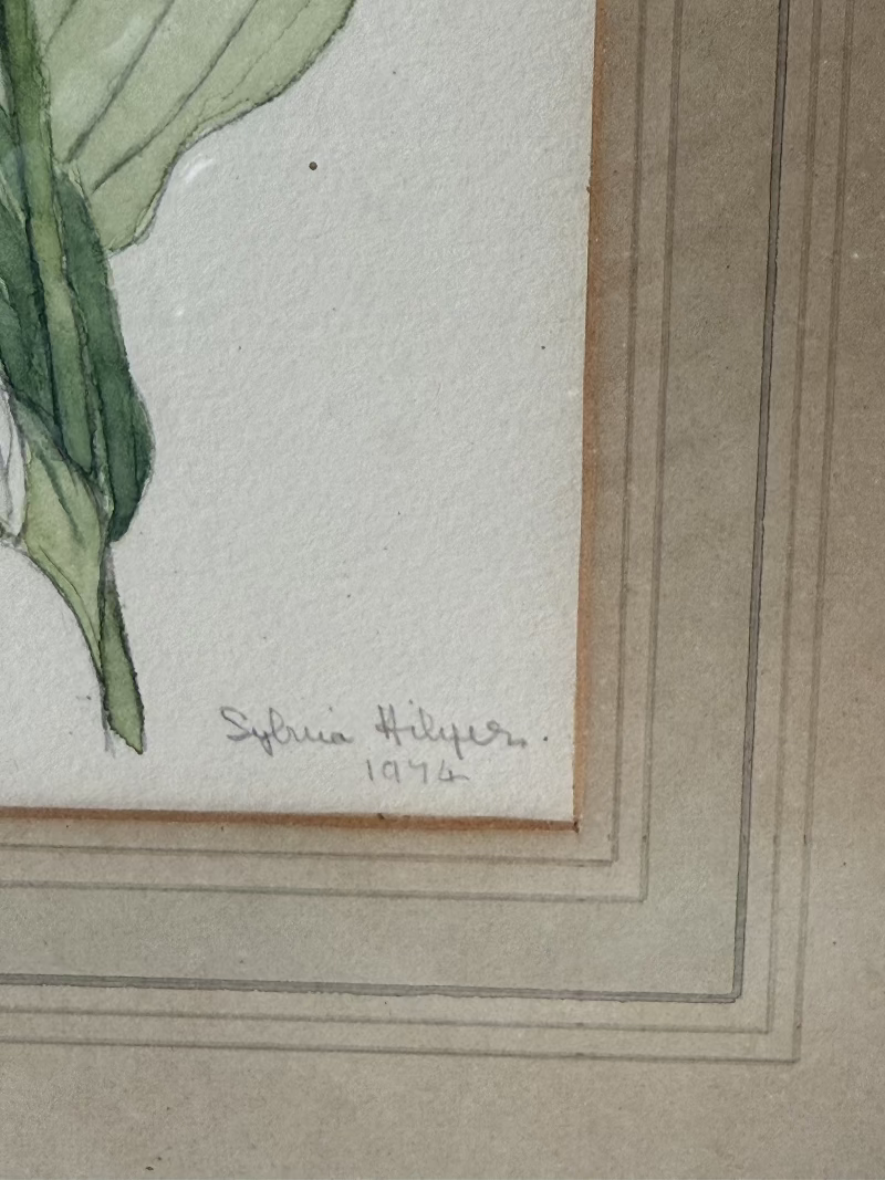 Vintage watercolour of hosta lilies in a gilt frame, signed and dated 1974, styled on white surface with soft decor