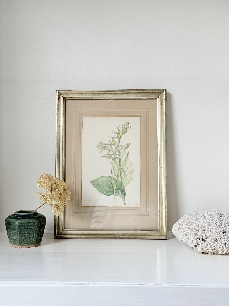 Vintage watercolour of hosta lilies in a gilt frame, signed and dated 1974, styled on white surface with soft decor