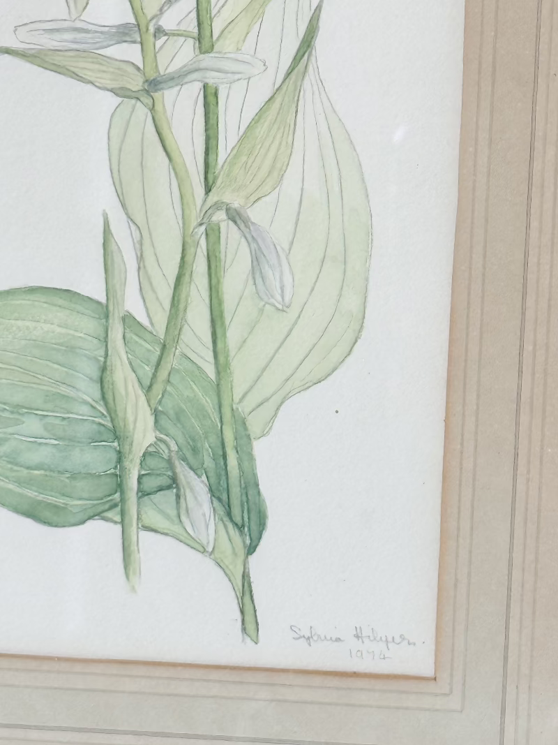 Vintage watercolour of hosta lilies in a gilt frame, signed and dated 1974, styled on white surface with soft decor