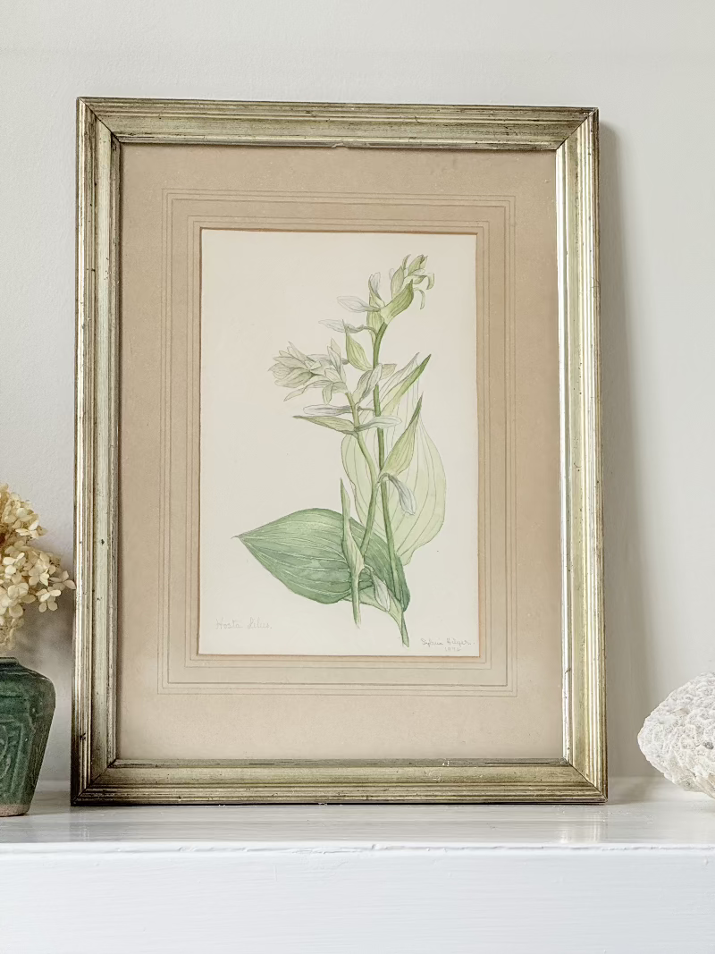 Vintage watercolour of hosta lilies in a gilt frame, signed and dated 1974, styled on white surface with soft decor