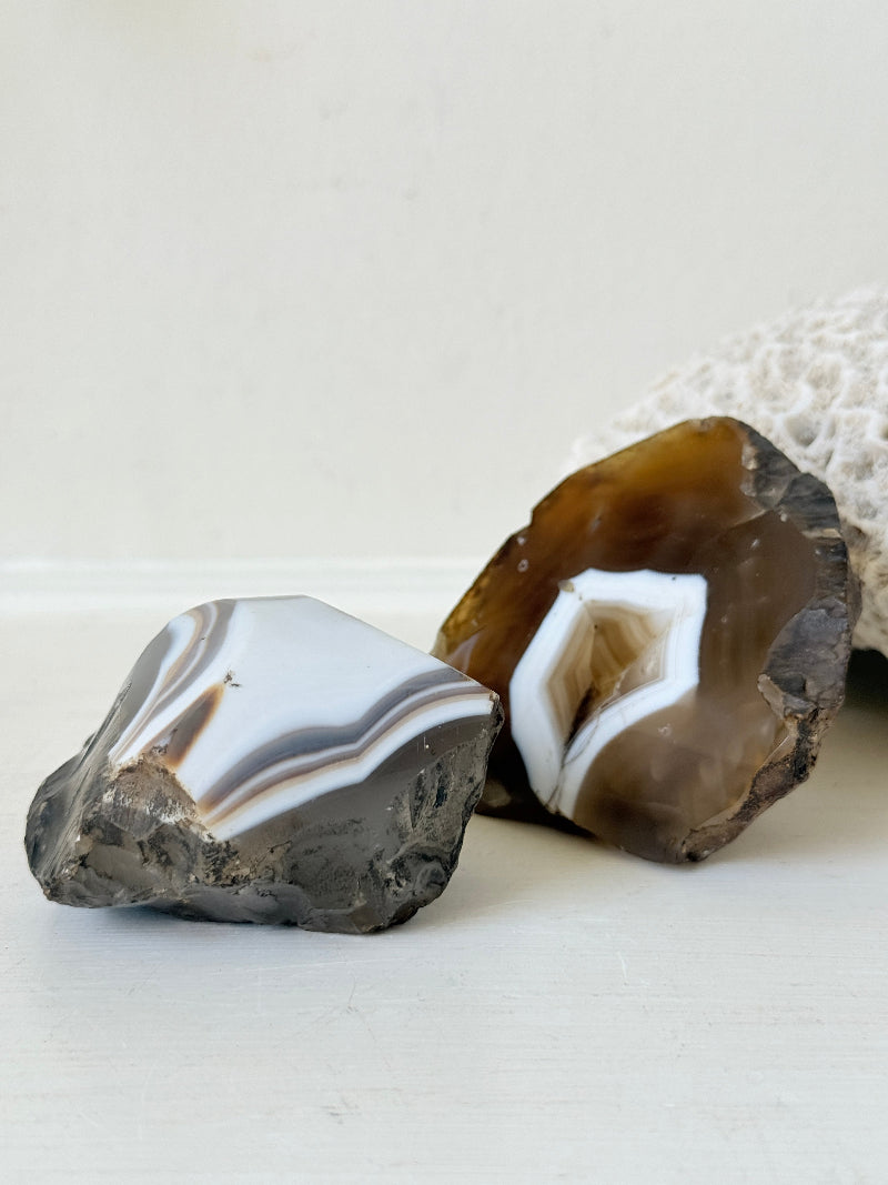 Pair of polished orca agate specimens with cream, brown and grey banding, photographed on a white surface