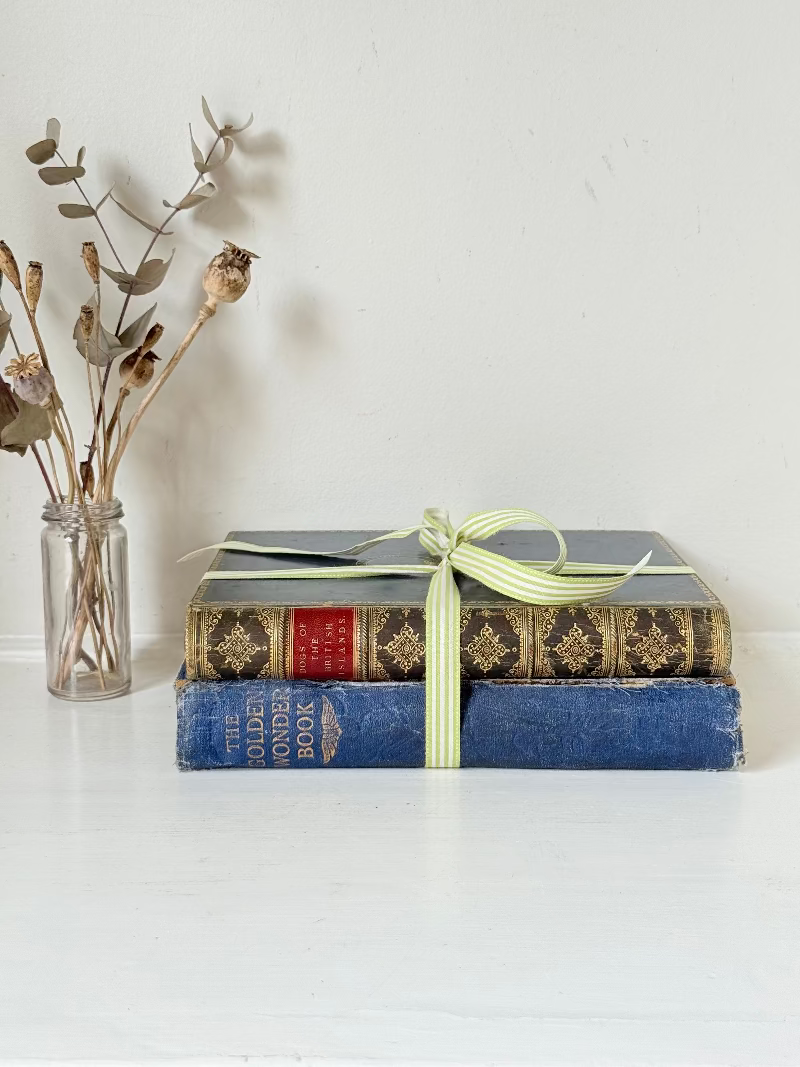 Vintage large pair of blue decorative books tied with green ribbon, photographed on a white surface