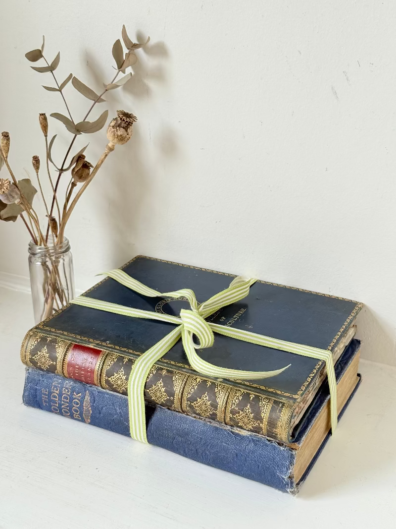 Vintage large pair of blue decorative books tied with green ribbon, photographed on a white surface
