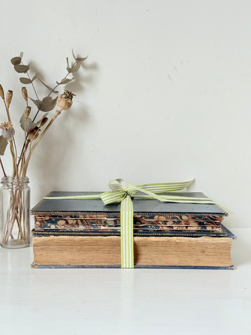 Vintage large pair of blue decorative books tied with green ribbon, photographed on a white surface