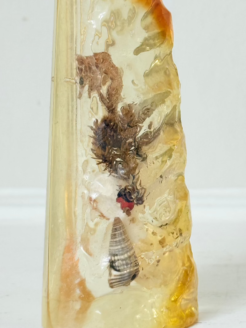 vintage 1970s resin bottle opener with embedded seashells and coastal treasures on white surface