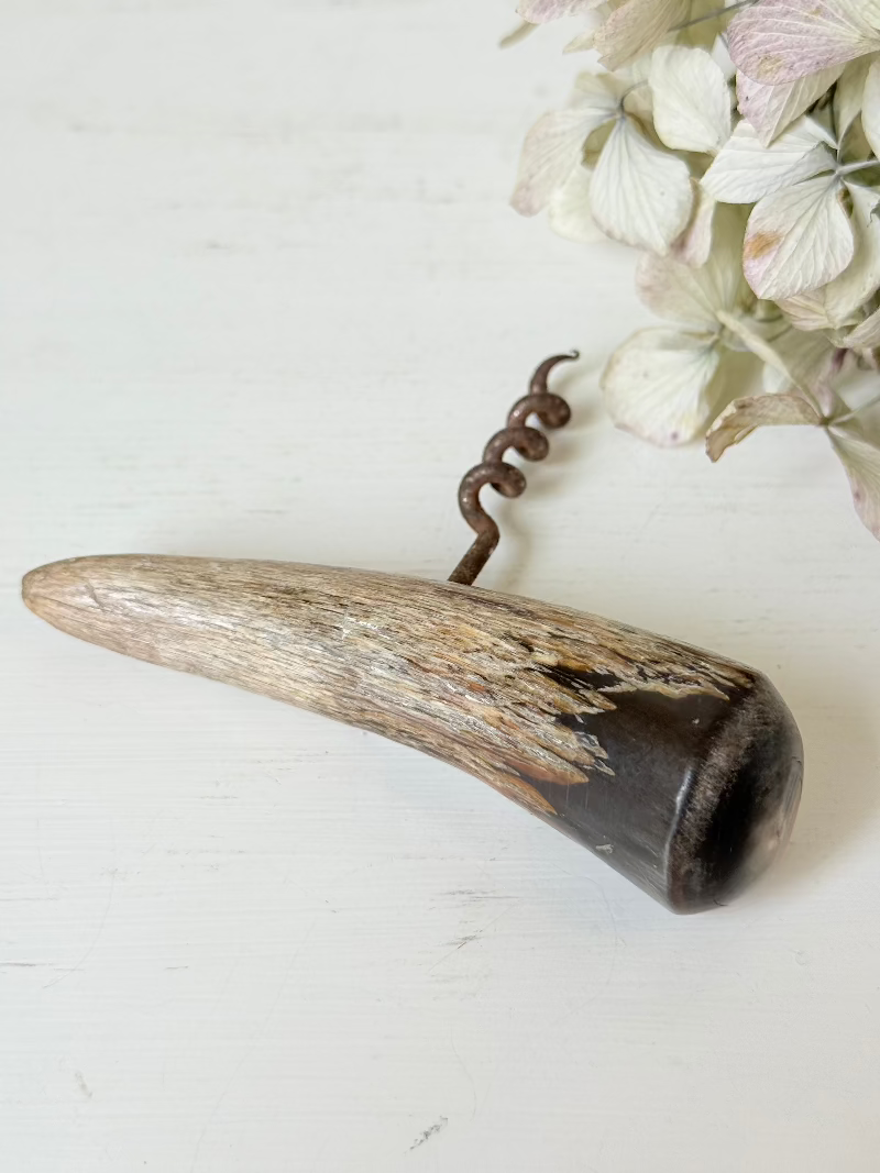 vintage corkscrew with natural horn handle and aged steel spiral on white surface