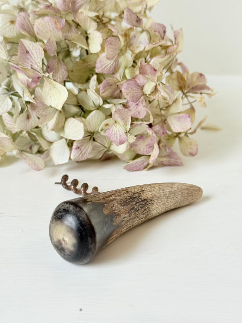 vintage corkscrew with natural horn handle and aged steel spiral on white surface
