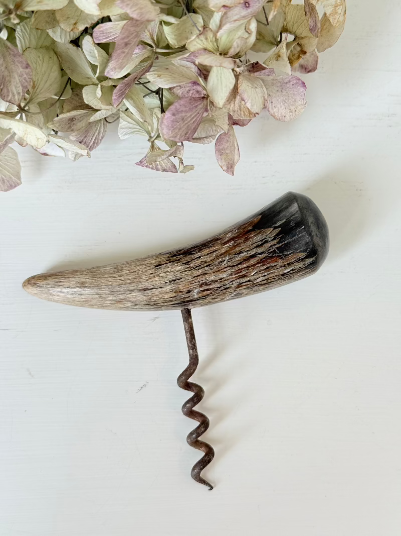 vintage corkscrew with natural horn handle and aged steel spiral on white surface