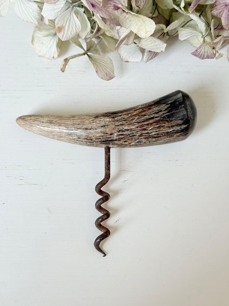 Bottle opener