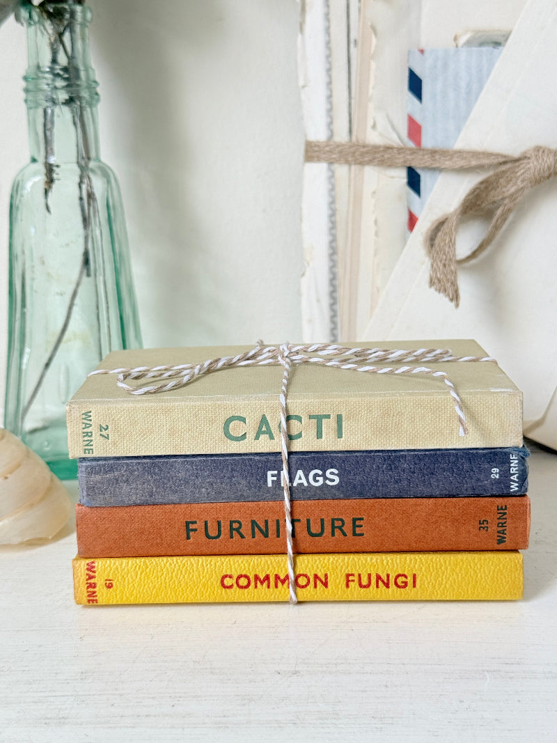 A stack of five vintage-style hardcover books tied with twine sits on a white surface. The books have muted covers in beige, navy, terracotta, and yellow, with titles reading CACTI, FLAGS, FURNITURE, and COMMON FUNGI.