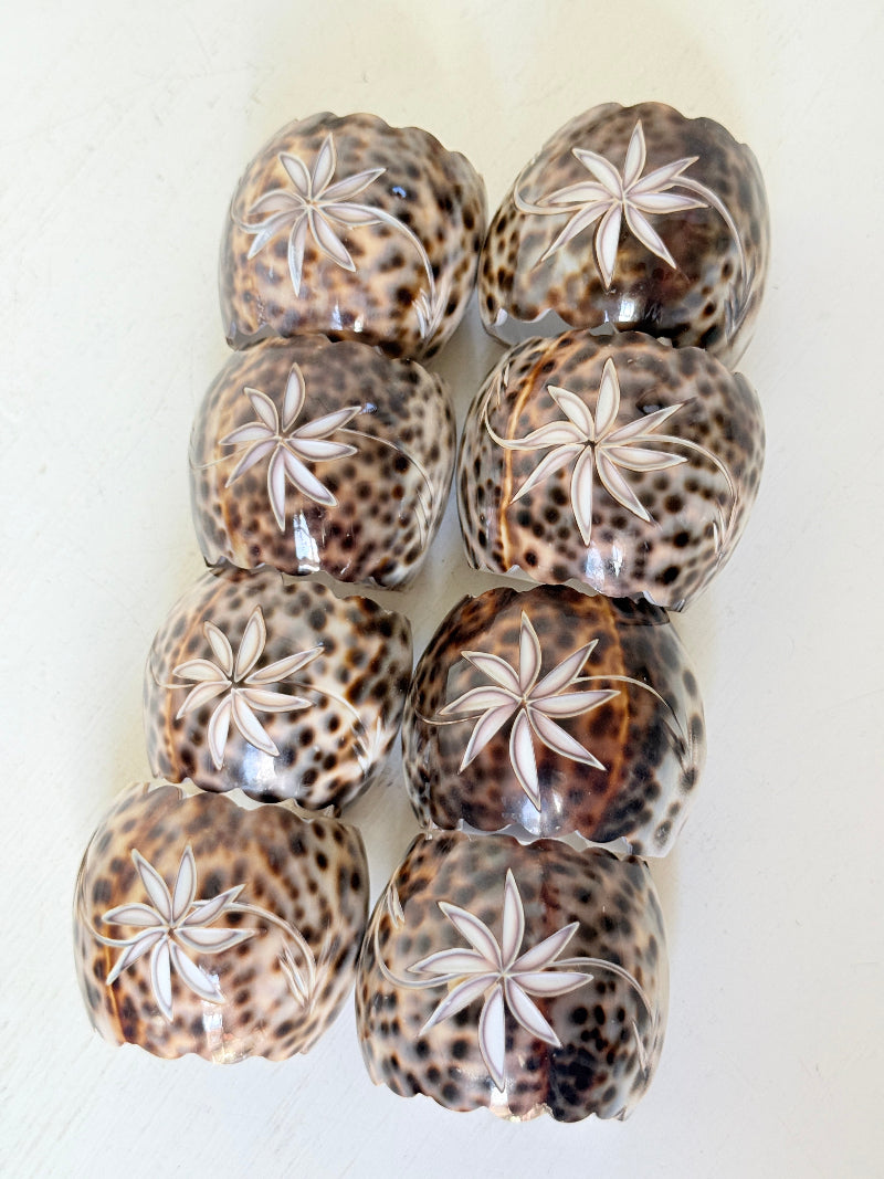Set of eight vintage shell napkin rings with natural speckled patterning, photographed on a white surface