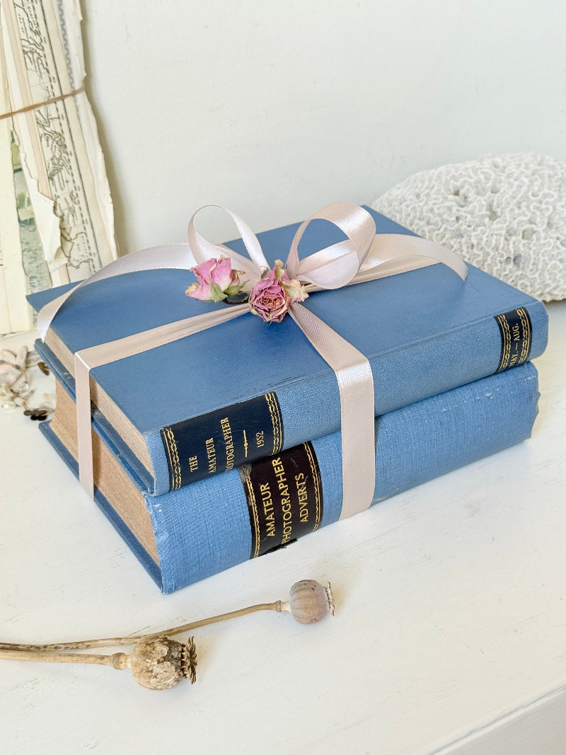Vintage decorative blue book bundle with pale pink ribbon, dried rose detail and aged hardback covers for shelf styling