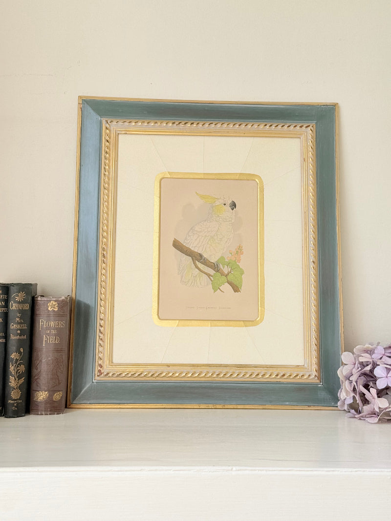 Framed cockatoo bird print in green and gold frame with mount, styled on white surface with vintage books