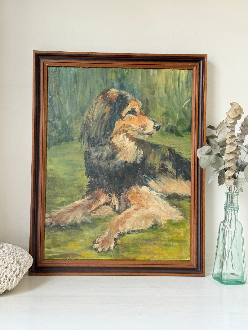 Oil on board portrait of a black and golden long haired dog on grass by Muriel Hester Broughton