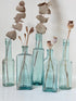 Set of five antique aqua glass bottles with embossed lettering, photographed on a white surface with dried stems