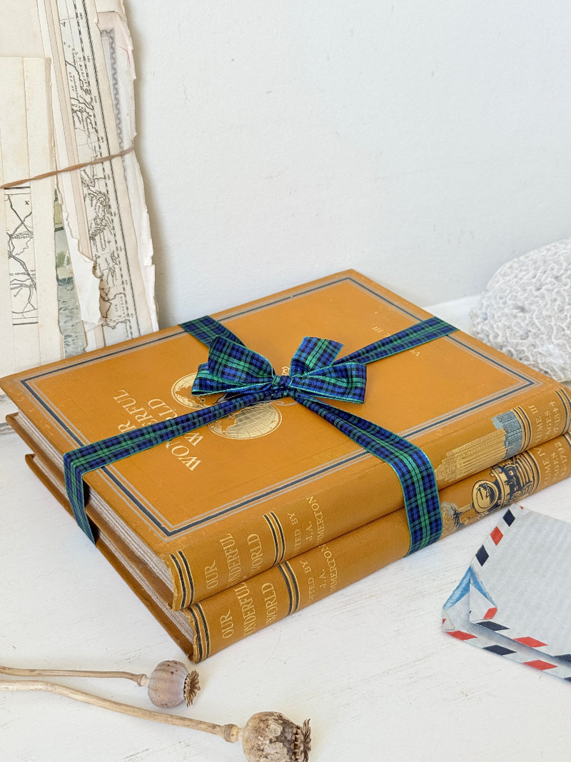 Pair of vintage Our Wonderful World books edited by J. A. Hammerton with mustard cloth covers, gilt lettering and blue decorative bands