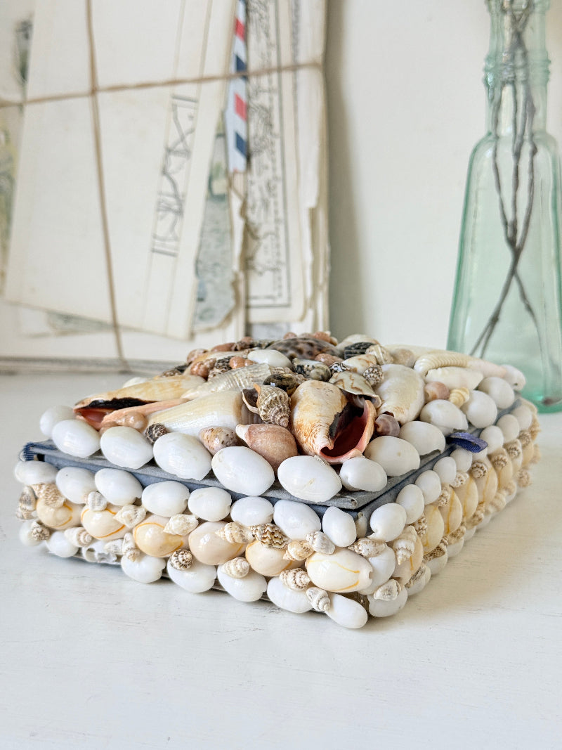 A rectangular clutch bag covered in white and beige seashells and small conch shells, with a dark blue fabric lining visible along the edges, set on a white surface with a soft-focus background of framed prints and a glass bottle.