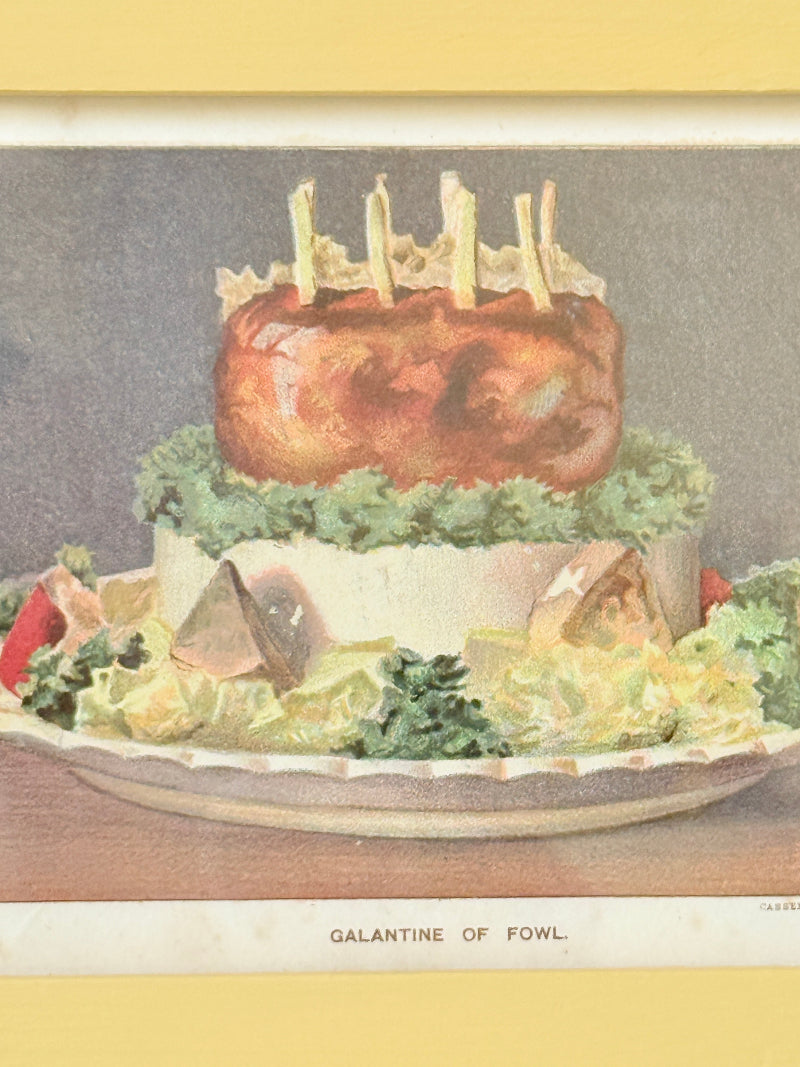 Framed antique Victorian cookery illustration from Cassell’s New Universal Cookery Book showing Galantine of Fowl