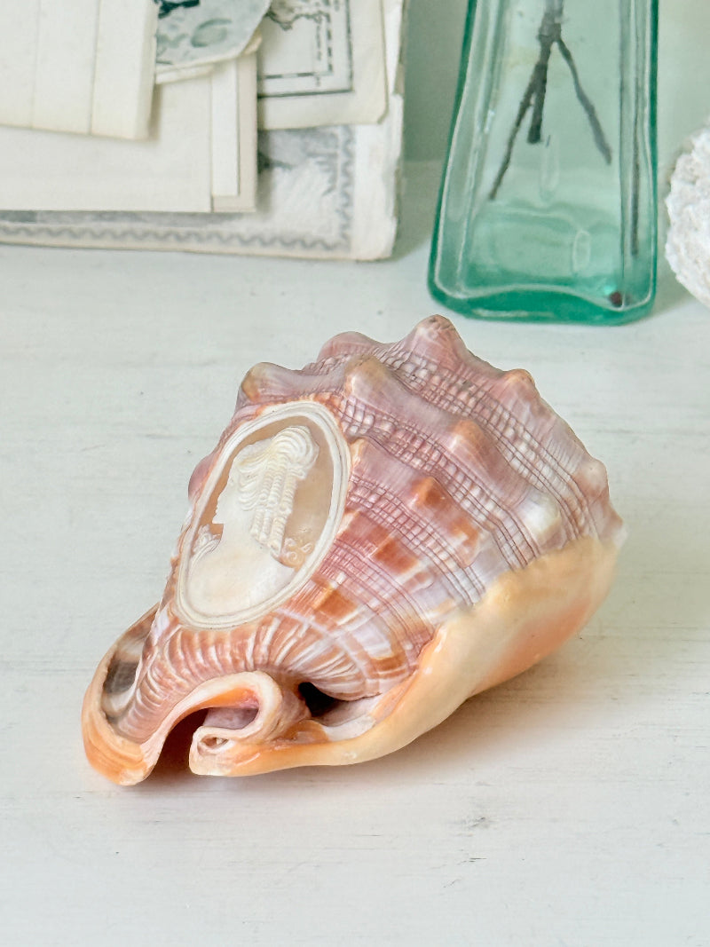 Hand carved cameo helmet shell with a classical female profile in pale relief on pink and brown