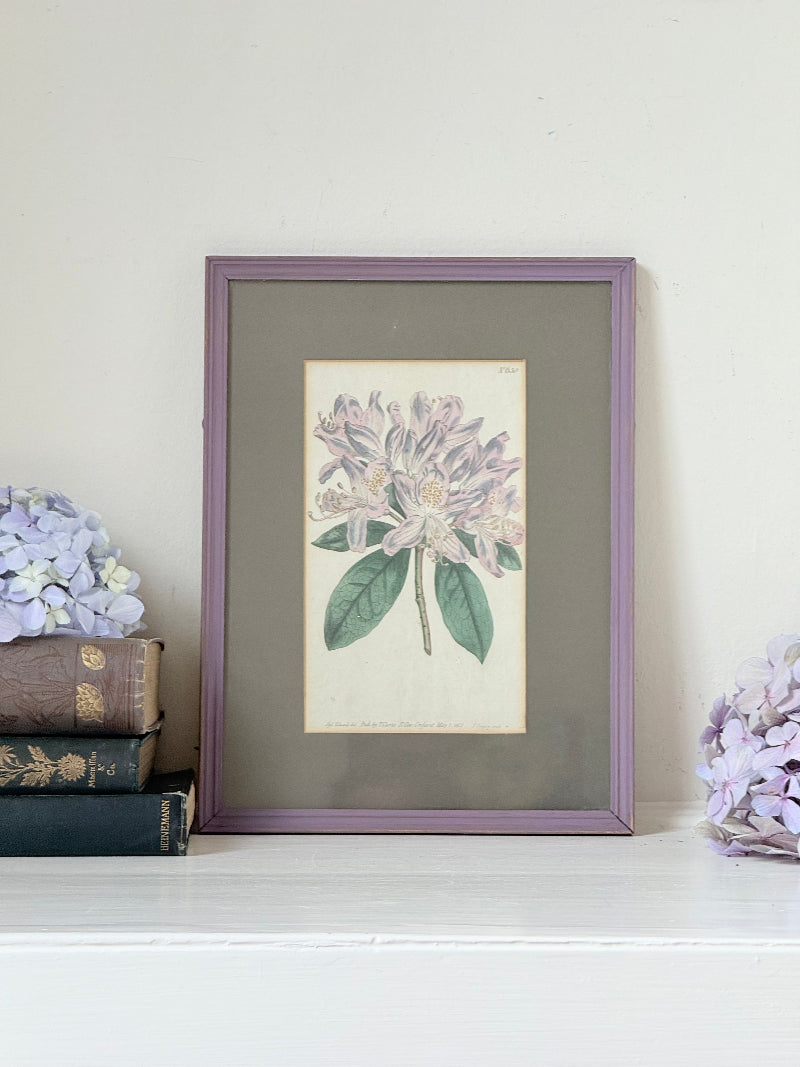 Framed vintage rhododendron print in purple wooden frame, styled with books and flowers on white surface