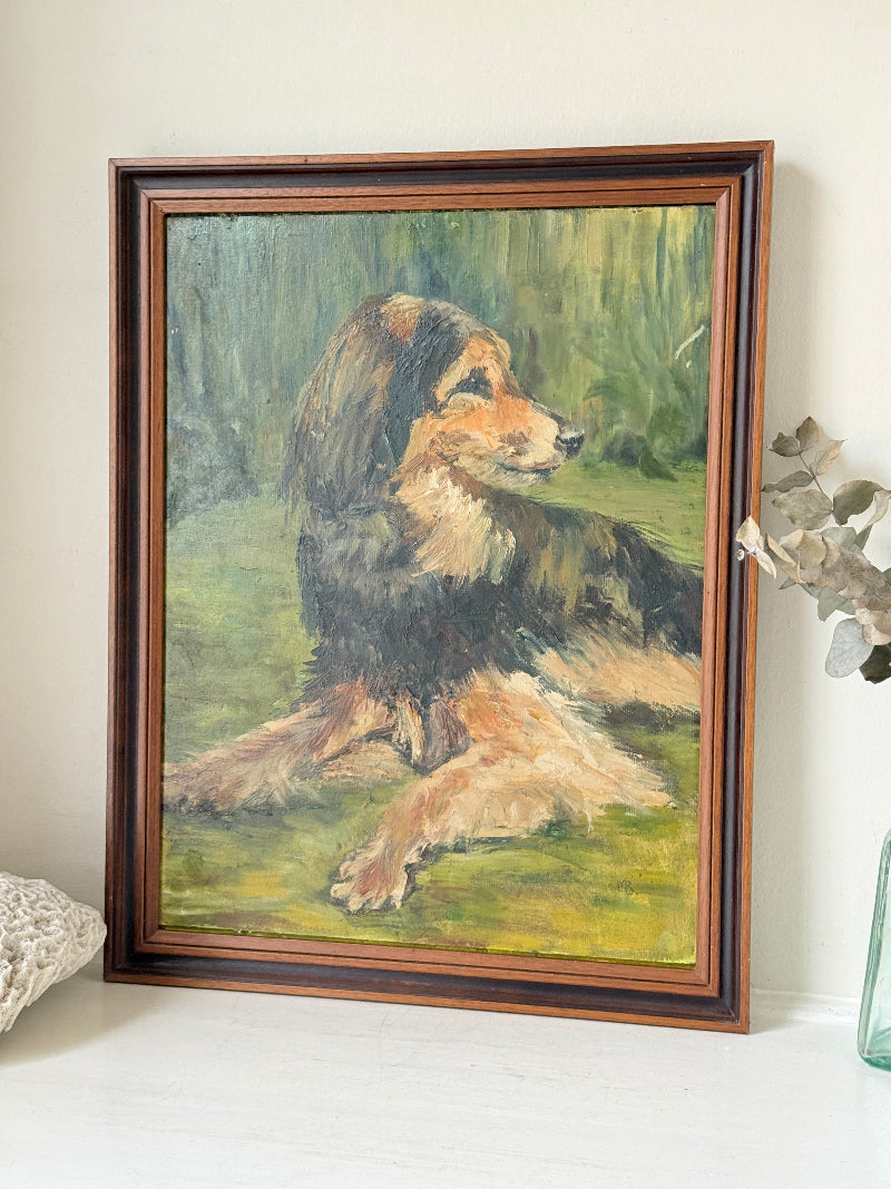 Oil on board portrait of a black and golden long haired dog on grass by Muriel Hester Broughton