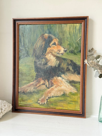 Oil on board portrait of a black and golden long haired dog on grass by Muriel Hester Broughton
