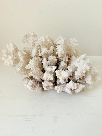 Large vintage white coral ornament with intricate texture, photographed on white surface