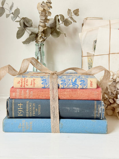 Stack of cloth bound vintage books in blue red and tan tied with jute ribbon styled with dried eucalyptus