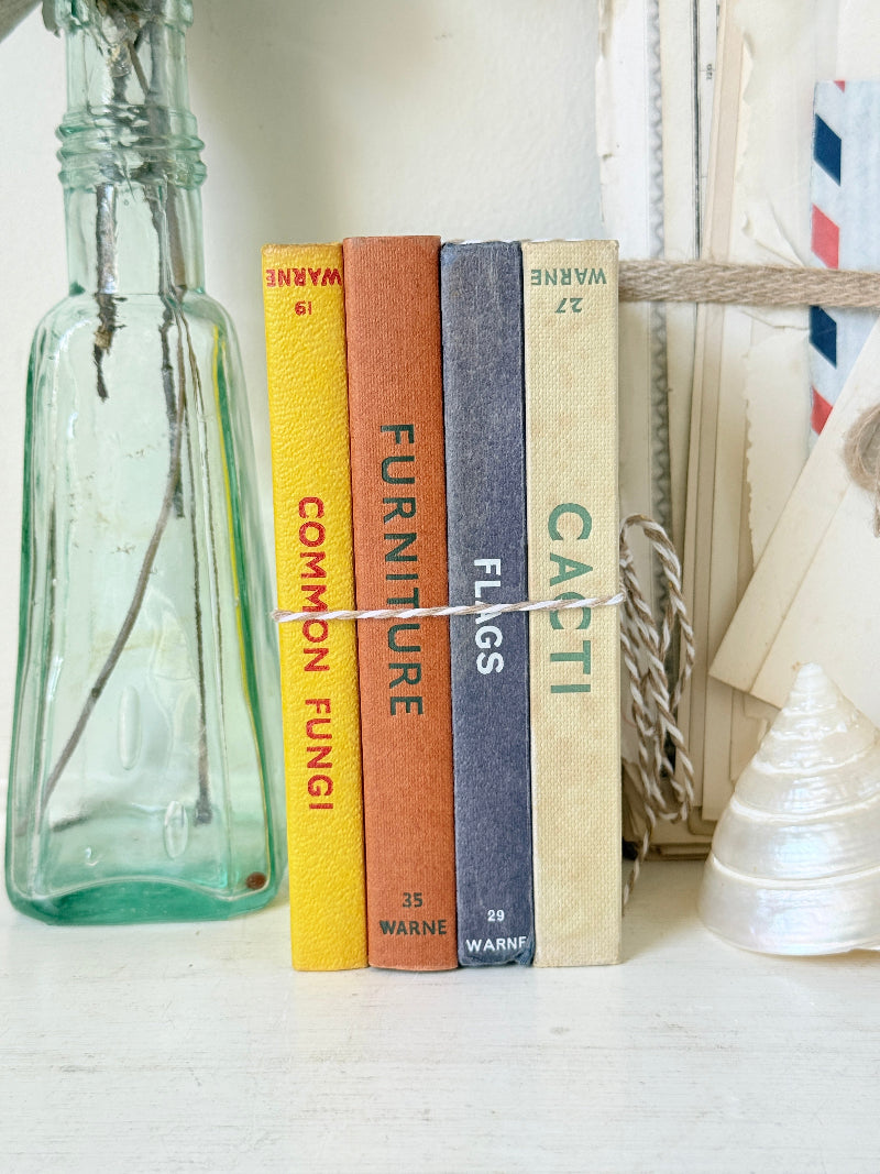 Four vintage-style hardcover books with colorful spines standing upright on a white surface, tied together with string. The spines are yellow, terracotta orange, dark blue, and cream, with titles including COMMON FUNGI, FURNITURE, FLAGS, and CACTI.