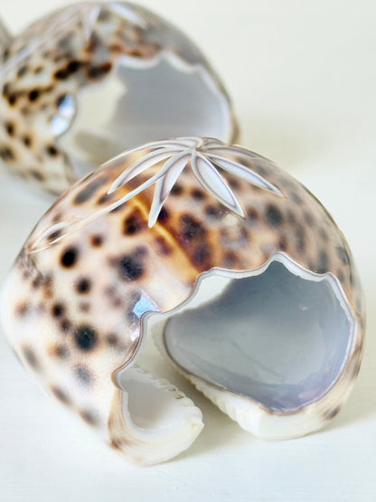 Set of eight vintage shell napkin rings with natural speckled patterning, photographed on a white surface