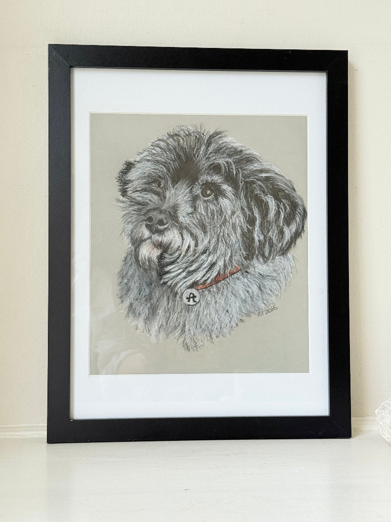 Framed pastel portrait of a shaggy dog in black frame with white mount, close-up detail of fur and eyes, photographed on white surface.