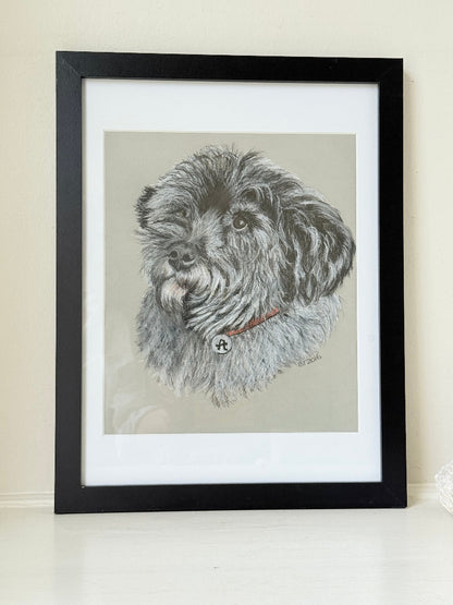 Framed pastel portrait of a shaggy dog in black frame with white mount, close-up detail of fur and eyes, photographed on white surface.