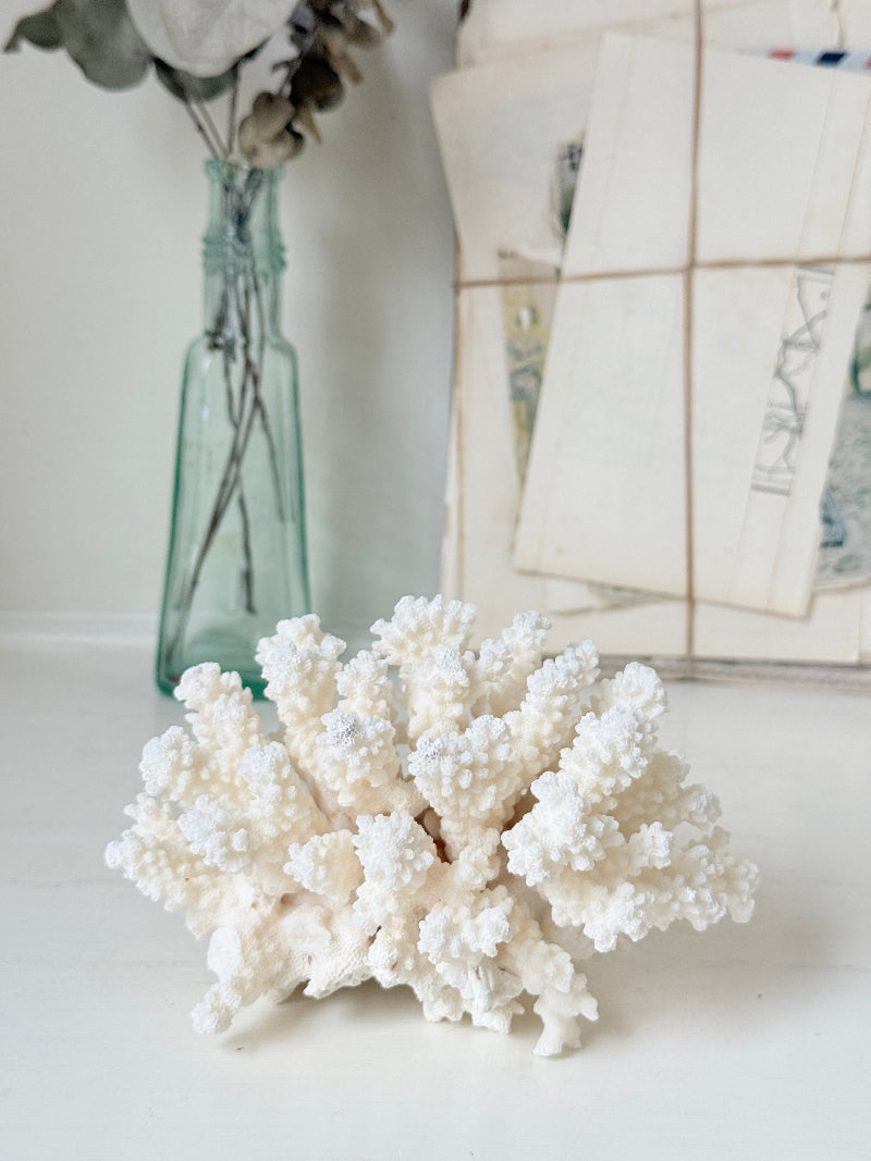 White coral branch decorative piece displayed on a white surface, with a translucent blue-green glass vase and vintage-style papers in the softly blurred background.