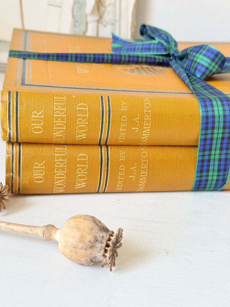 Pair of vintage Our Wonderful World books edited by J. A. Hammerton, volumes I and II, with mustard cloth covers and gilt detail