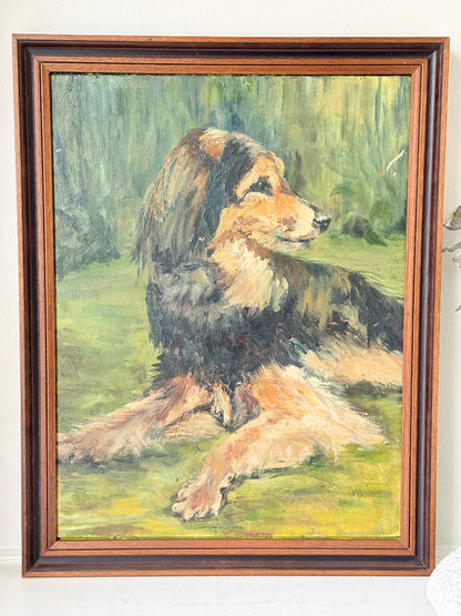 Oil on board portrait of a black and golden long haired dog on grass by Muriel Hester Broughton
