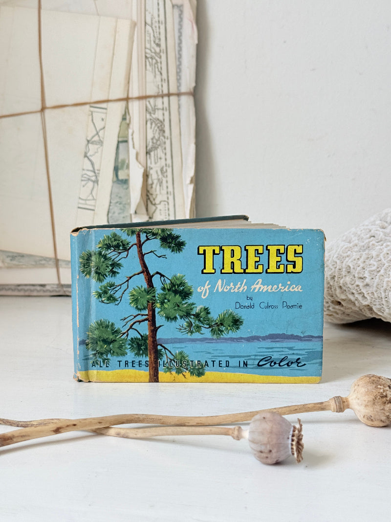 Vintage Trees of North America pocket nature guide by Donald Culross Peattie with colour illustrations and botanical cover