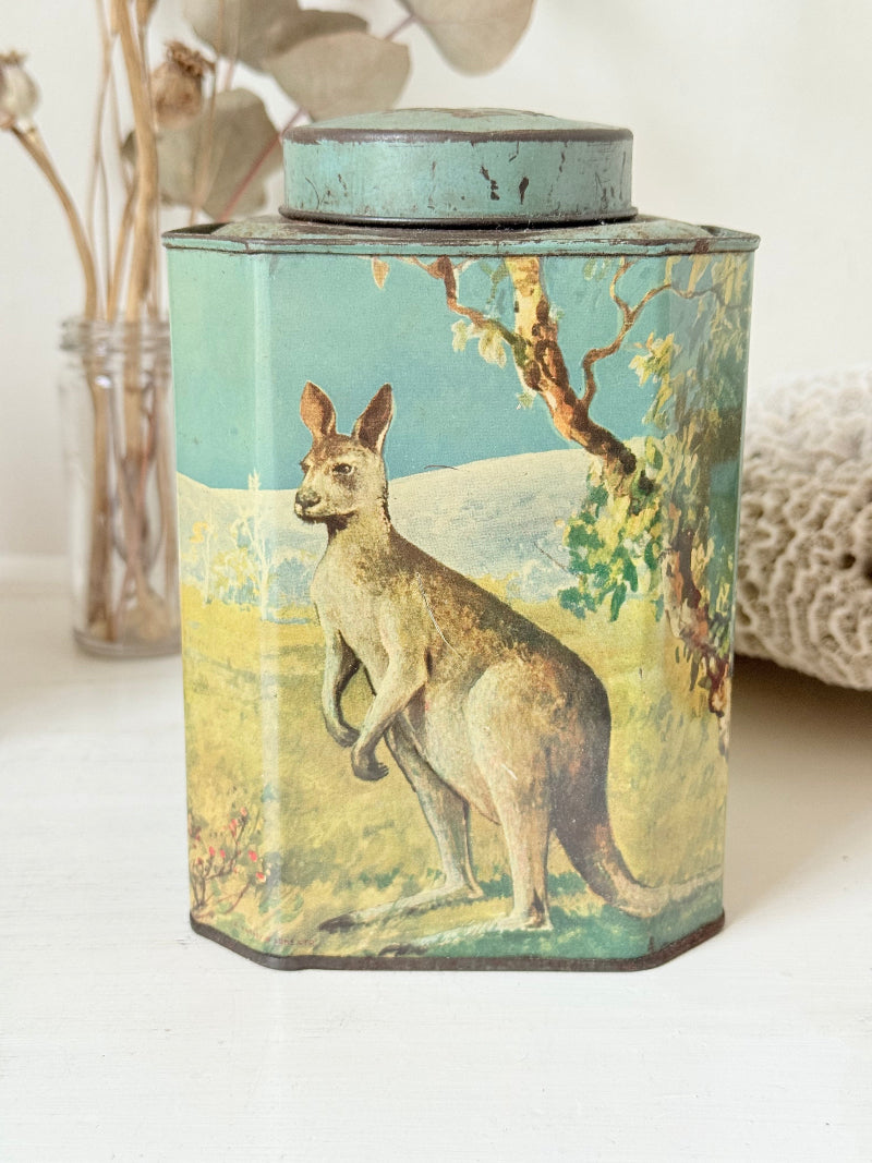 Vintage Bushells metal tea box featuring kangaroo, koala, and emu illustrations photographed on a white surface.