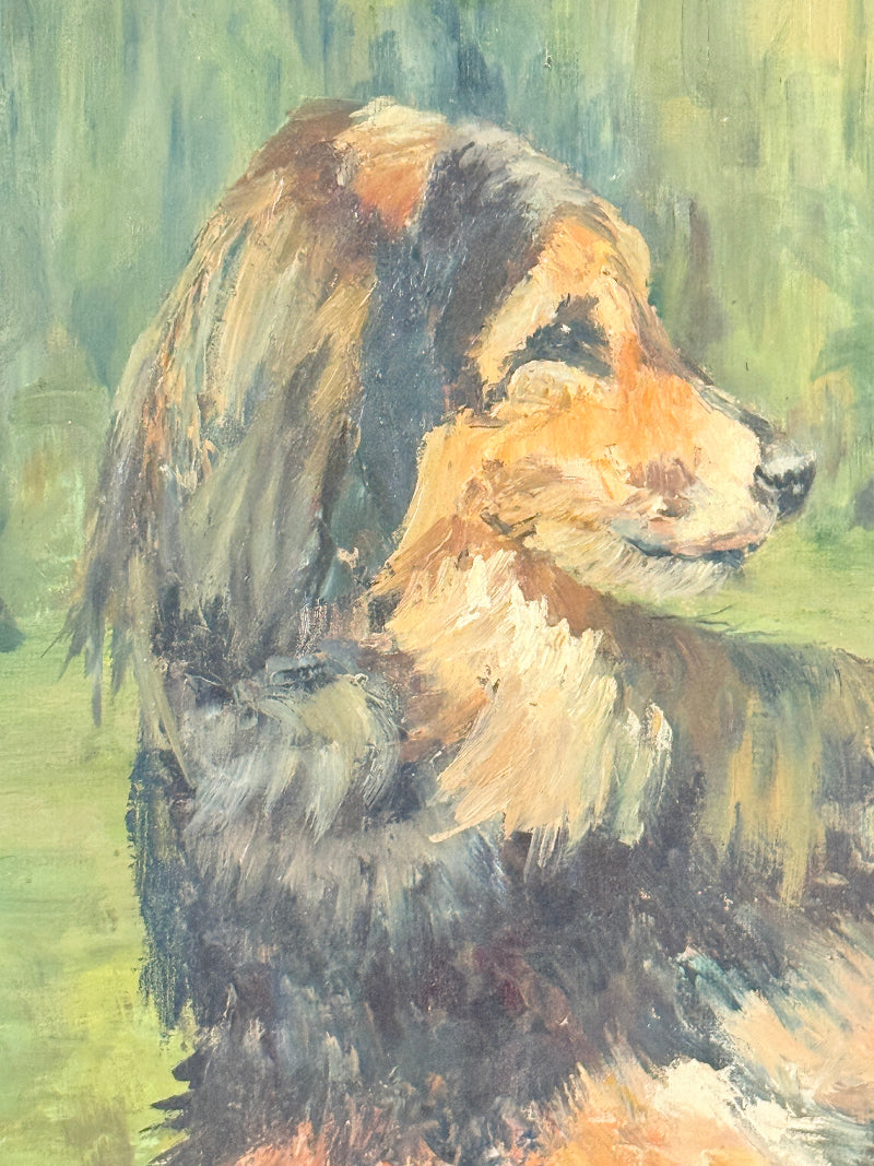 Oil on board portrait of a black and golden long haired dog on grass by Muriel Hester Broughton