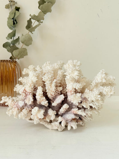 Large vintage white coral ornament with intricate texture, photographed on white surface