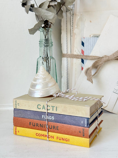 A stack of four vintage hardcover books tied with twine sits on a white surface next to a small glass bottle with dried stems and a white decorative object. The book spines show the titles CACTI, FLAGS, FURNITURE, and COMMON FUNGI.