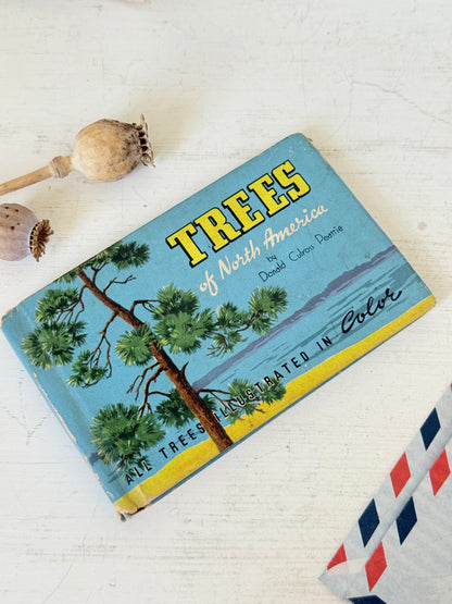 Vintage Trees of North America pocket nature guide by Donald Culross Peattie with colour illustrations and botanical cover