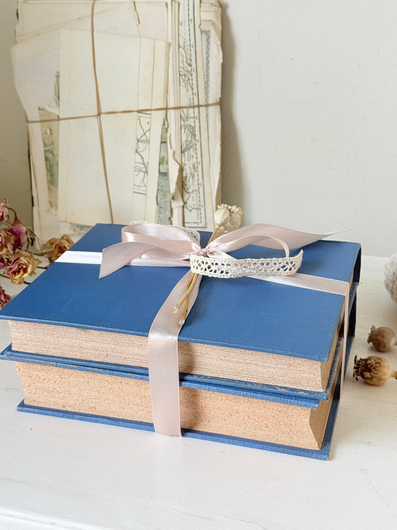 Pair of vintage Amateur Photographer books in blue cloth binding with gilt lettering tied with pale pink ribbon for shelf styling