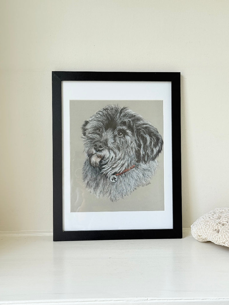 Framed pastel portrait of a shaggy dog in black frame with white mount, close-up detail of fur and eyes, photographed on white surface.