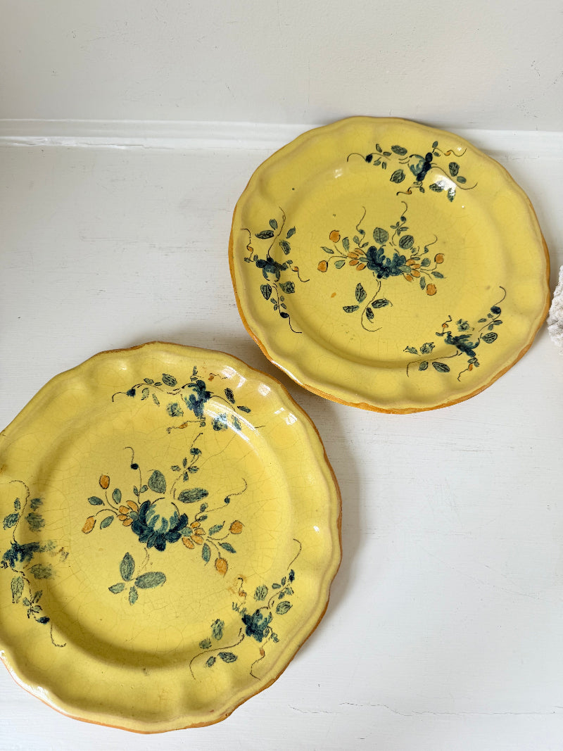 Pair of vintage yellow French faïence plates with hand painted blue floral design, photographed on a white surface